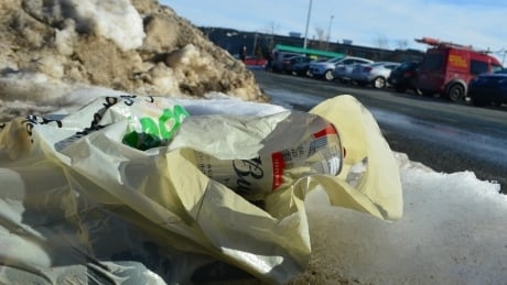 To ban or not to ban? Take a deep dive on plastic bags