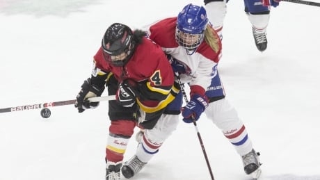 Canadian Women’s Hockey League to close down over financial difficulties