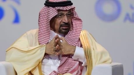 Oil prices, TSX rise after OPEC extends production cuts to June