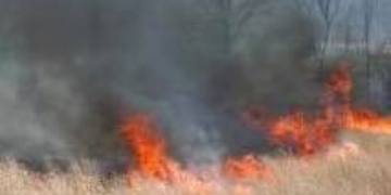 Properties on evacuation alert as grass fire burns near Pemberton, B.C.