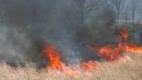 Properties on evacuation alert as grass fire burns near Pemberton, B.C.