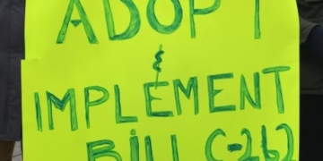 Indigenous groups accuse Conservatives of ‘shameful’ stalling tactics on rights bill