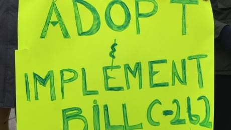 Indigenous groups accuse Conservatives of ‘shameful’ stalling tactics on rights bill