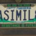 ‘Knee-jerk reaction’ to ASIMIL8 licence plate contravenes right to freedom of expression, lawyer argues