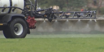 ‘It’s extremely safe:’ Vancouver employs insecticide to battle invasive Japanese beetle