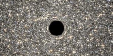 Black holes: What you need to know