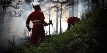B.C. to expand firefighter occupational disease coverage to wildfire crews