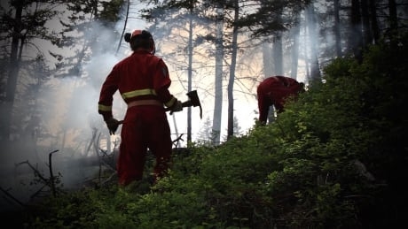 B.C. to expand firefighter occupational disease coverage to wildfire crews