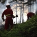B.C. to expand firefighter occupational disease coverage to wildfire crews