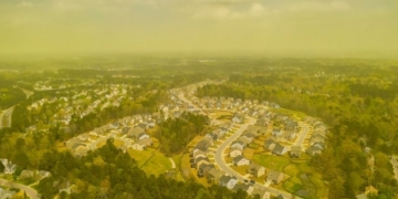 Pollen clouds shroud parts of US south-east as allergies spike