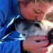 How one stray dog changed my life forever