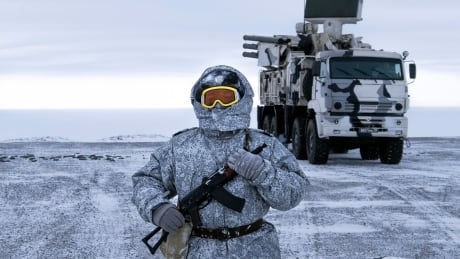 Canada’s window to defend the Arctic is closing, MP warns