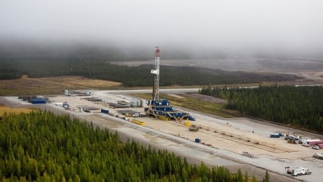 Weakening of Bill C-69 would trigger ‘flood of litigation,’ Alberta chief warns