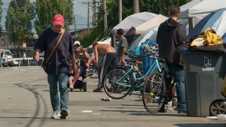 Surrey cleaned up its ‘Strip’ — and former mayor has some advice for Maple Ridge about homeless camps