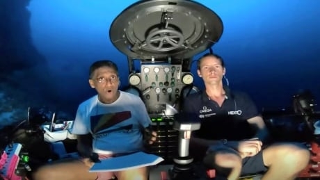 Seychelles president makes underwater plea to protect world’s oceans from climate change