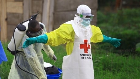 Ebola outbreak in Congo may be declared a global emergency