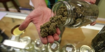 Alberta will have 2nd largest legal weed market in Canada, report suggests