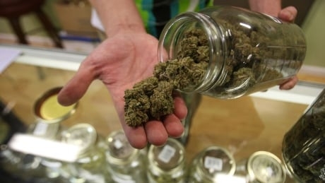 Alberta will have 2nd largest legal weed market in Canada, report suggests