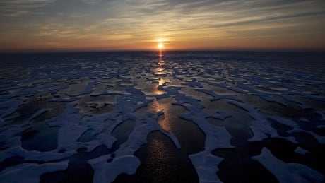 Future Arctic won’t look like the Arctic we know now, says report