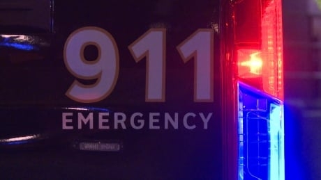 Suspect suffers dog bite during arrest for allegedly breaking into Vancouver home