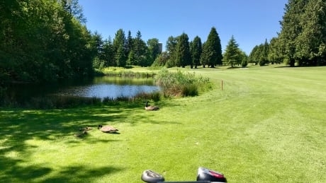 Hole-in-one or out of bounds? Vancouver Park Board to debate motion on future of public golf courses