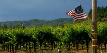 How the US-China trade war squeezes California’s wine country