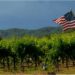 How the US-China trade war squeezes California’s wine country