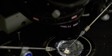 Mutation that protects against HIV raises death rate