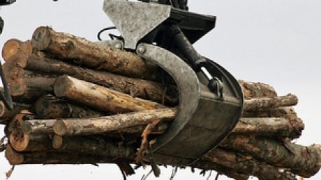 ‘Nothing lasts forever’: small towns in B.C. concerned this spate of mill closures won’t be last