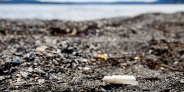 These N.L. women have plastic-free periods. Why aren’t more doing the same?