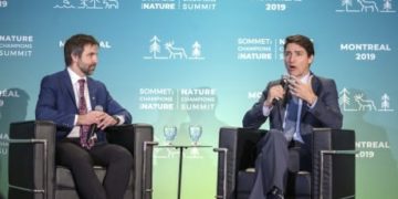 High-profile Quebec environmentalist to run for federal Liberals in key Montreal riding