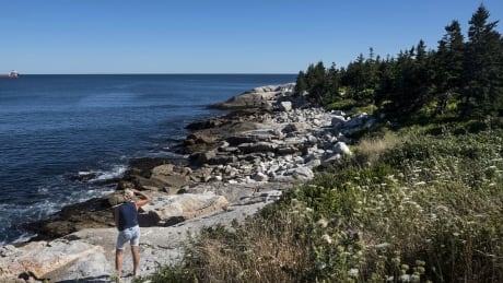 Canadian buildings, coastlines, northern communities face biggest climate risks: report