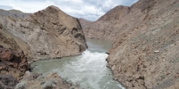 Migrating salmon blocked by Fraser River landslide could be trucked out: DFO