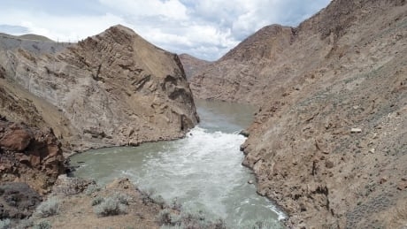 Migrating salmon blocked by Fraser River landslide could be trucked out: DFO