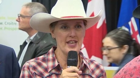 Ottawa announces $8.3M for beef industry amid China standoff