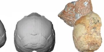 Earliest modern human fossil outside Africa found in Greece