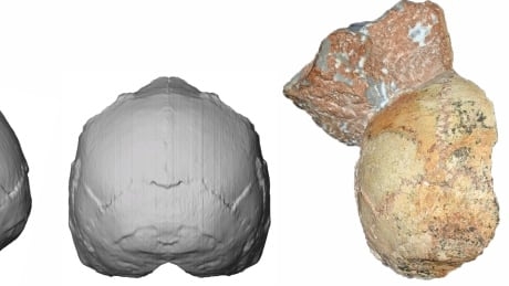 Earliest modern human fossil outside Africa found in Greece