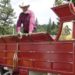 83-year-old rancher will ride a horse in his 80th consecutive parade
