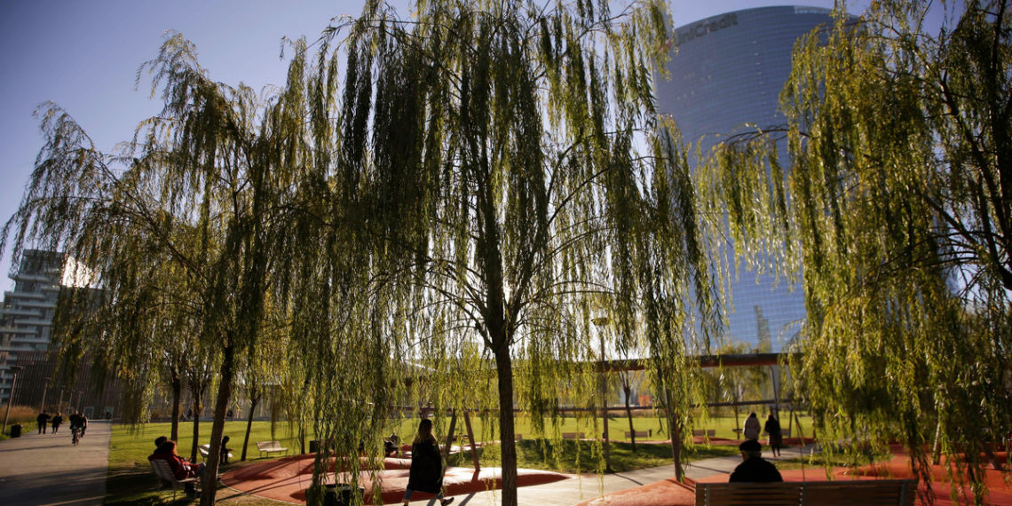 Best way to fight climate change? Plant a trillion trees