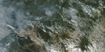 With Amazon ablaze, Brazil faces global backlash: ‘Lungs of the Earth are in flames’