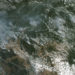 With Amazon ablaze, Brazil faces global backlash: ‘Lungs of the Earth are in flames’