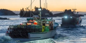 DFO will soon use satellites to fight illegal fishing worldwide