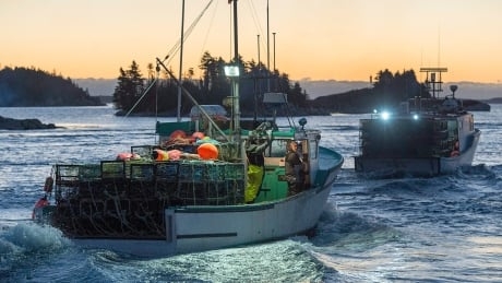 DFO will soon use satellites to fight illegal fishing worldwide