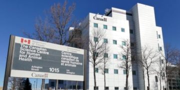 ‘Toxic work environment’ plagues National Microbiology Lab: workplace report