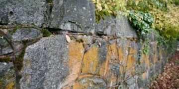 Developer temporarily halted after removing parts of historic 122-year-old wall in Oak Bay, B.C.