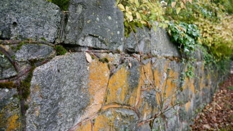 Developer temporarily halted after removing parts of historic 122-year-old wall in Oak Bay, B.C.