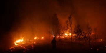 Forest burned in 2019 Indonesia wildfires already exceeds 2018