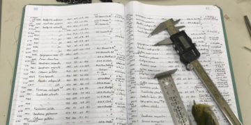 Birds are shrinking. These scientists say it’s a consequence of global warming.