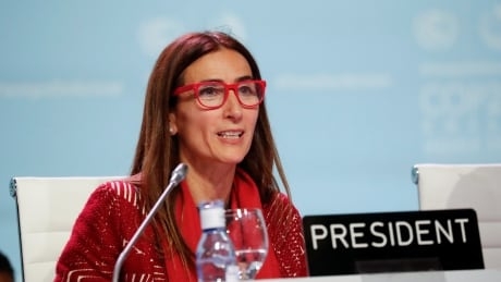 Longest UN climate talks end with no deal on carbon markets