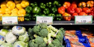 Canadian families will pay nearly $500 more in 2020 for food, report says